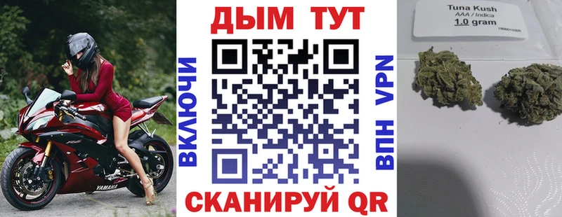 omg tor Североуральск Каннабис сатива как найти